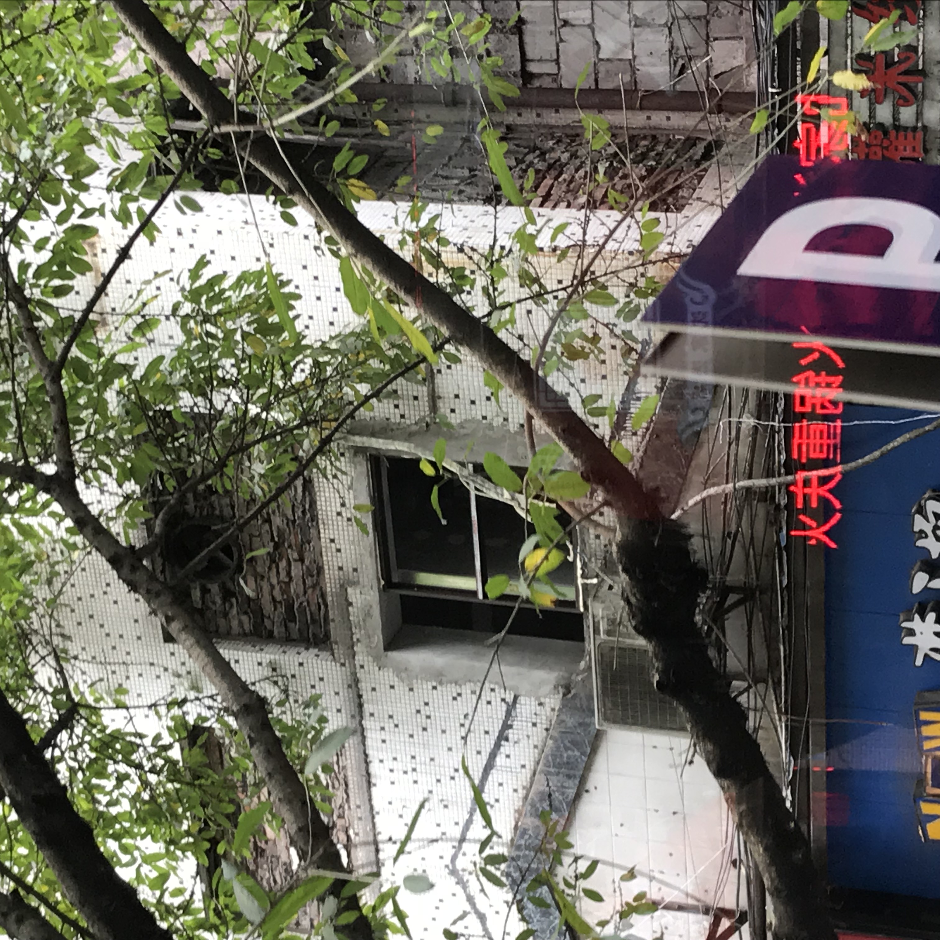 ./2018/03 - Viking China/15 - Chongqing/IMG_7025.JPG